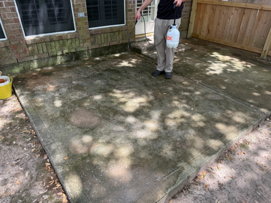 Concrete patio covered in green algae and organic staining before chemical treatment